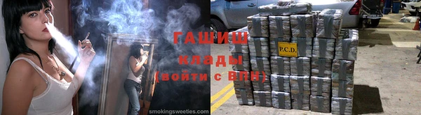 хмурый Абаза