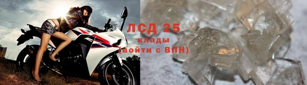 хмурый Абаза