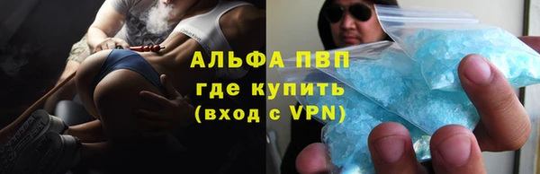 хмурый Абаза