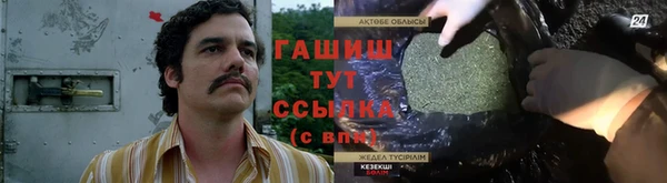 хмурый Абаза