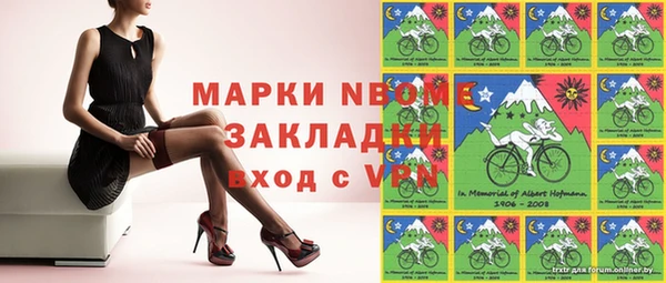 хмурый Абаза