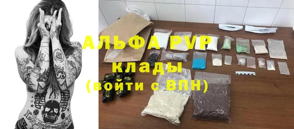 хмурый Абаза